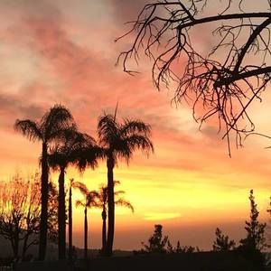 Meet your Posher, Yenny